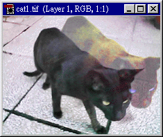 ���� Layer 1 �Ĳʶ�