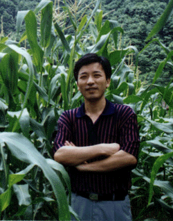 wangx.gif (71085 bytes)